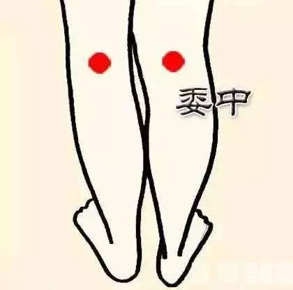 養生不花錢!10大防病祛病穴,每天按一按,從頭到腳都健康~