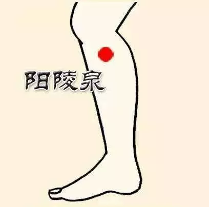 養生不花錢!10大防病祛病穴,每天按一按,從頭到腳都健康~