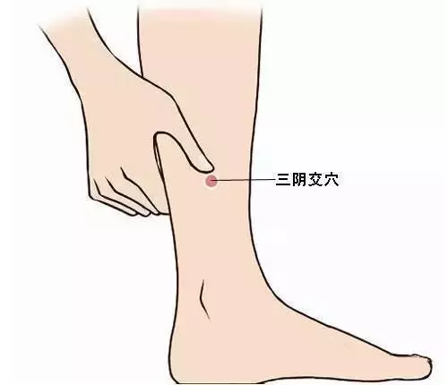 養生不花錢!10大防病祛病穴,每天按一按,從頭到腳都健康~