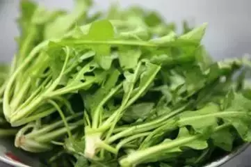 這5種食物是眼睛保護神,眼睛疲勞、乾澀就吃它們