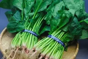 這5種食物是眼睛保護神,眼睛疲勞、乾澀就吃它們