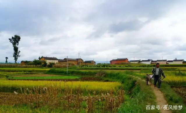 兒子走後兒媳把老太趕出家門,女婿接丈母娘回家,沒想到躲過一劫