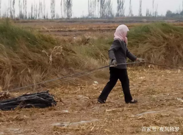 父母走後嬸嬸將他養大,帶女友吃飯見一清潔工,他下跪磕三個響頭