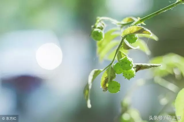 越是窮,越要捨得在這3件事上花錢,否則你很難翻身,很實用