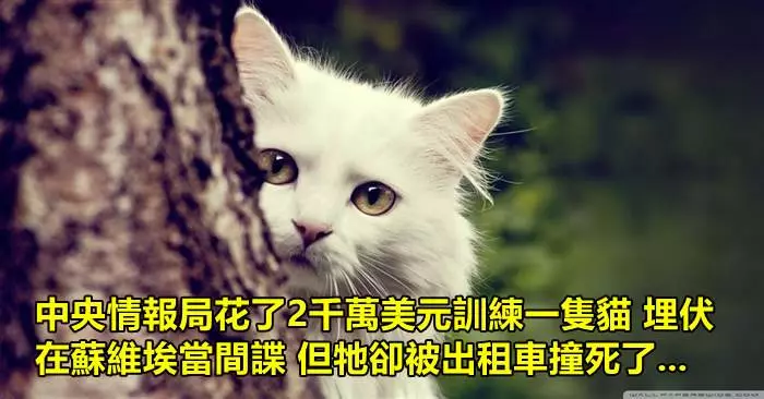 15個「會讓你覺得你對這個世界還不夠了解」的超驚奇冷知識!