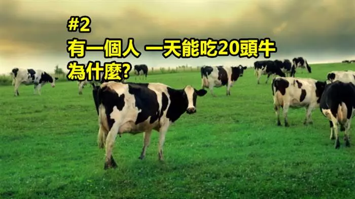 3道看起來超簡單「但實際上你根本答不出的小學生級益智問答題!」