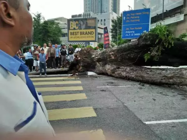 KLCC前安邦路大樹倒下·壓傷騎士毀轎車