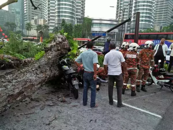 KLCC前安邦路大樹倒下·壓傷騎士毀轎車
