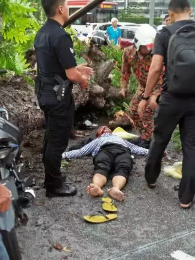 KLCC前安邦路大樹倒下·壓傷騎士毀轎車