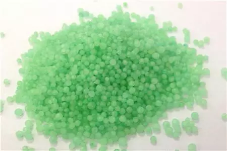 家裡養金錢樹,就要用這肥,葉子不黃蹭蹭長!