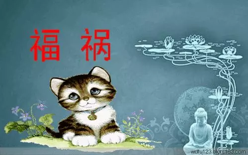 智者大師:為什麼道理都懂,卻做不到呢?