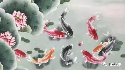 智者大師:為什麼道理都懂,卻做不到呢?