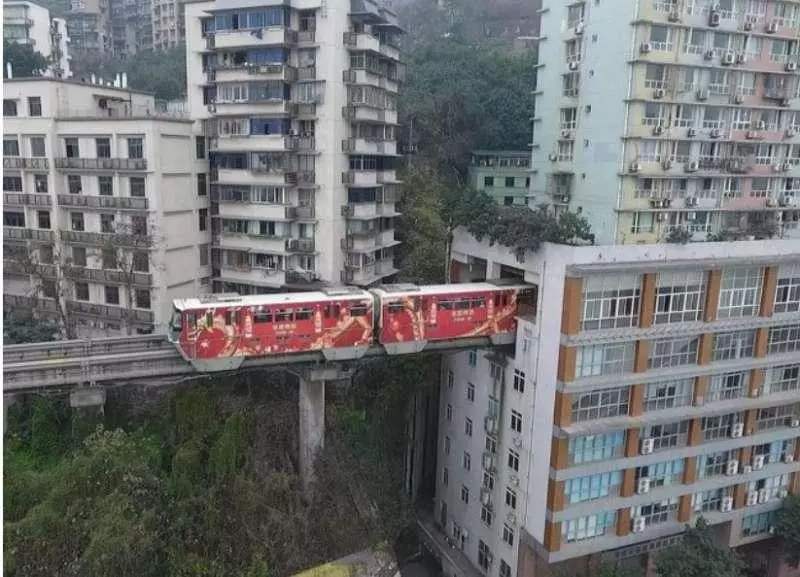 23個讓你覺得「人類還沒搞懂這世界」的不可思議照片,#8「長得像人腿」的海葵也太可怕...