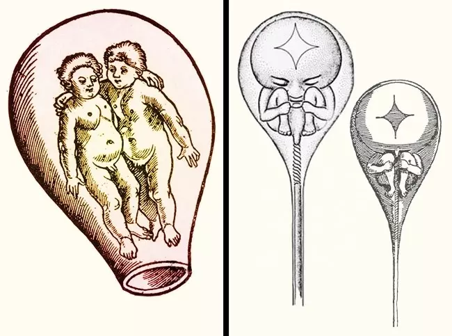 7個中世紀「明明就超獵奇」,但大家都信以為真的世界觀!女巫都養「小底迪」當寵物?