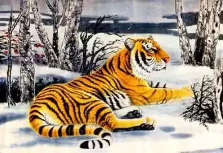這輩子,不缺錢也不缺愛的生肖女,不是窮人更不是孤家寡人!