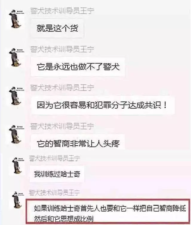 炎熱夏天,流浪狗來蹭空調,店家:生意沒漲,只漲狗了