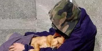 拾荒老漢收養快死的流浪狗,狗狗知恩圖報,年年拉一百多斤車報恩