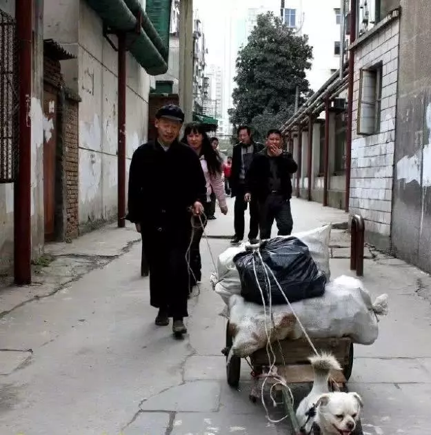 拾荒老漢收養快死的流浪狗,狗狗知恩圖報,年年拉一百多斤車報恩