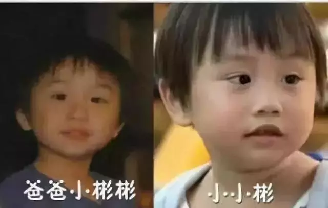 小小彬年休4天,拍11部電視劇,生病累倒!父母0收入,卻花錢大方,奢侈糜爛,真可氣!
