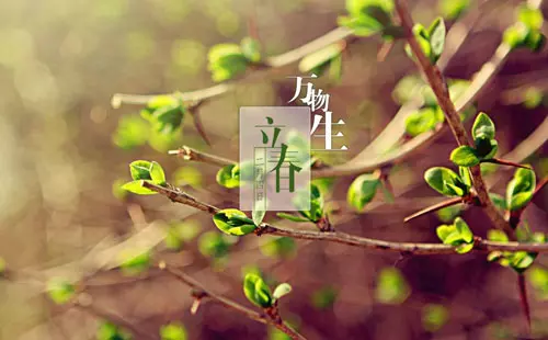 大馬華裔注意!風水師分享:在立春當天, 為自己開運的7個方法!
