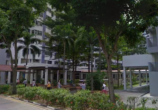 飛來橫禍!新加坡89歲老人竟被樹枝「砸」中身亡