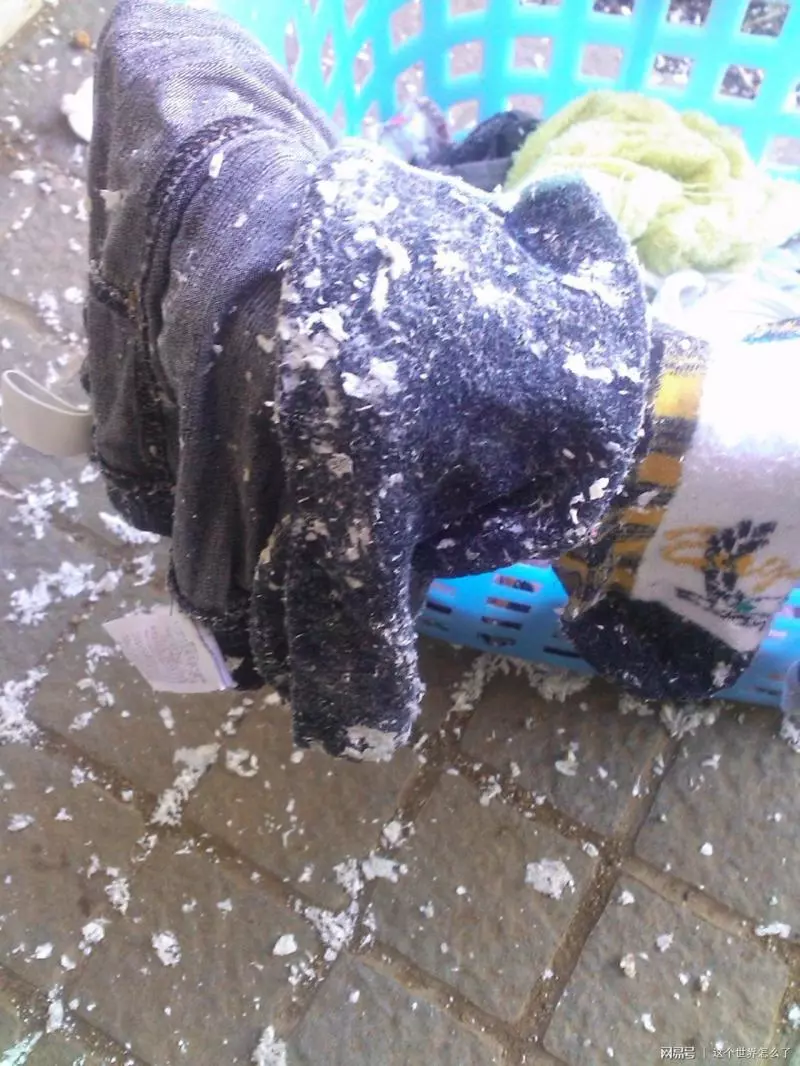 超神的!衣服沾滿了白色Tissue碎很pek cek?只要學會「這招」就能輕鬆去除紙巾屑,而且還很乾凈!