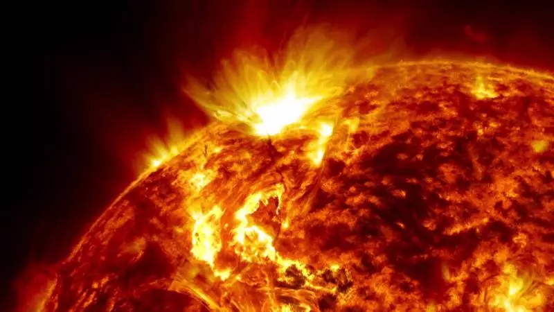 36個「可以讓你一整天胡思亂想」的超級冷知識!#28 零下272℃到115℃都殺不死它!