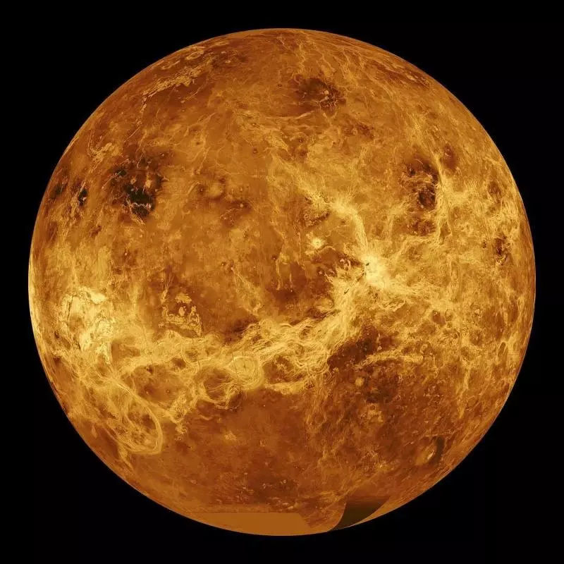 36個「可以讓你一整天胡思亂想」的超級冷知識!#28 零下272℃到115℃都殺不死它!