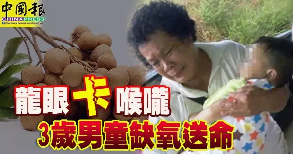 龍眼卡喉嚨 3歲男童缺氧送命。R.I.P