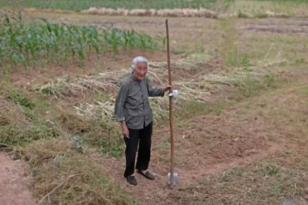 母親80多歲,大兒子吃過飯就喊,媽快洗碗,倆兄弟卻說大哥最孝順