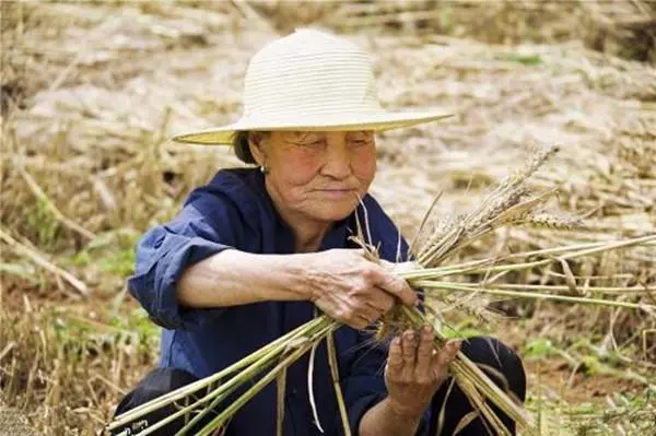 母親80多歲,大兒子吃過飯就喊,媽快洗碗,倆兄弟卻說大哥最孝順