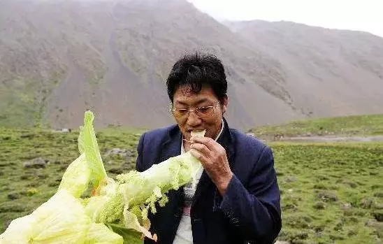 一男子在山上驚見像妖塔一樣的植物!悄悄剝一塊吃下肚竟然.....大家捧著鈔票也買不到!
