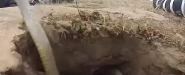 男子山上挖土竟聽見奇怪聲音,挖開時大蛇竄出!下一秒……男子傻眼了!