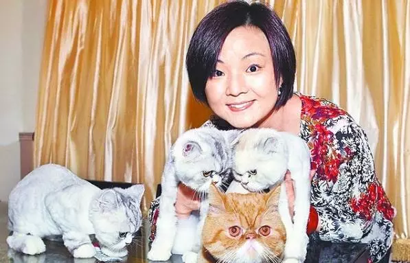 10年前倪敏然自殺身亡,被認為是「兇手」的夏禕,慘遭演藝圈大哥聯合封殺,沒想到她卻嘲諷台灣,最後得到了這樣的結果....