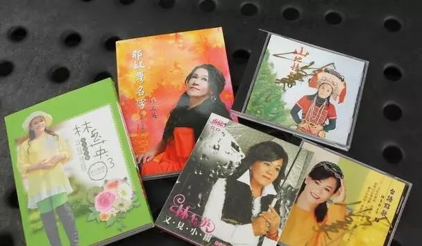 57歲甜音歌手林玉英被前夫騙光500萬, 再嫁遭家暴睡公園,晚年淒慘!