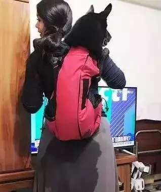 「對不起我尿尿了……」13歲狗狗尿失禁做出一個讓主人都心疼他的小動作,主人暖心說:寶寶沒關係