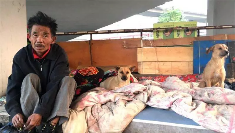 拾荒老人只能住在橋下,流浪了27年養了100多隻流浪狗,自己捨不得吃飯,卻給狗狗每天吃上兩頓肉,最後老漢的話令人落淚