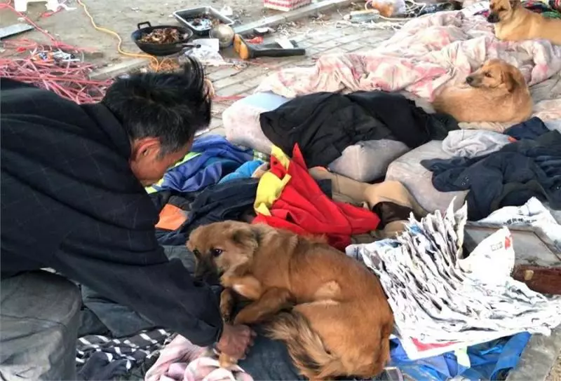 拾荒老人只能住在橋下,流浪了27年養了100多隻流浪狗,自己捨不得吃飯,卻給狗狗每天吃上兩頓肉,最後老漢的話令人落淚