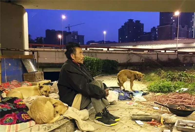 拾荒老人只能住在橋下,流浪了27年養了100多隻流浪狗,自己捨不得吃飯,卻給狗狗每天吃上兩頓肉,最後老漢的話令人落淚