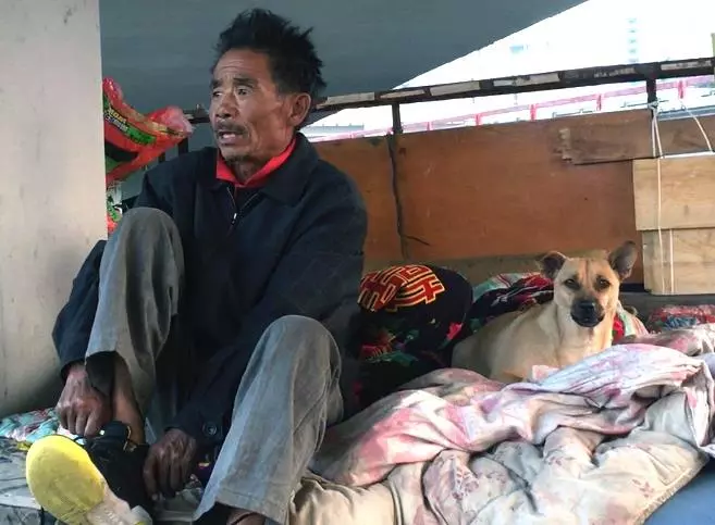 拾荒老人只能住在橋下,流浪了27年養了100多隻流浪狗,自己捨不得吃飯,卻給狗狗每天吃上兩頓肉,最後老漢的話令人落淚