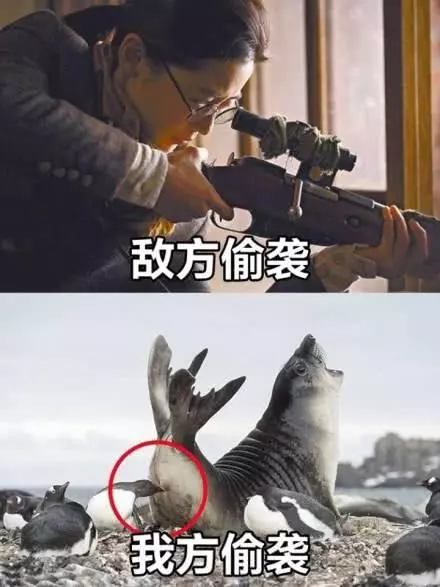 敵方隊手VS我方隊友,這就是你不能上王者的原因!