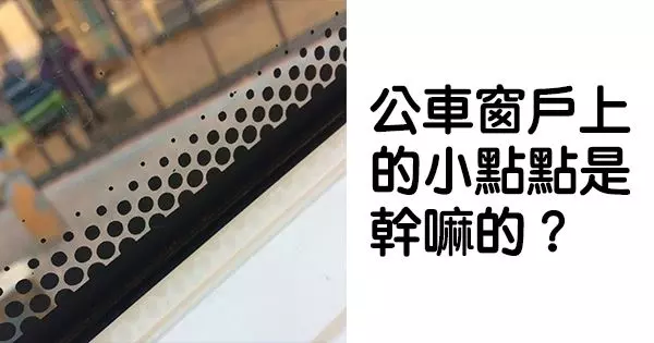 20個「大家一直很想知道答案,網友秒找到真相回答你」的疑問!