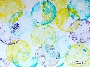手工+創意+繪畫才是孩子最愛的美術活動,孩子肯定不會說「我不會