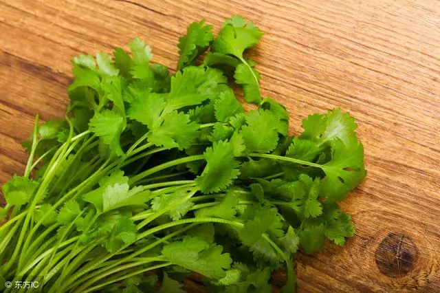 這「6大最難吃蔬菜」,每一個都是治病高手,不吃太虧了~