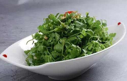 這「6大最難吃蔬菜」,每一個都是治病高手,不吃太虧了~