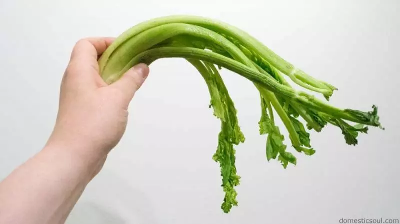 教你「6大絕招」!用最少錢在超級市場掃更多貨!很多人還不知道啊!