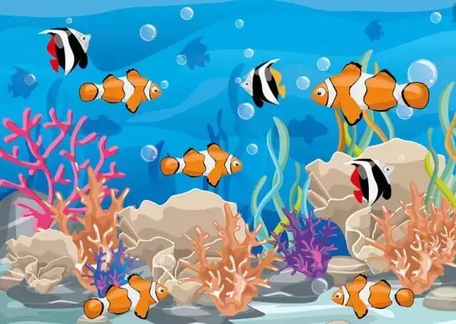 這些魚既是手工課,又是環創裝飾