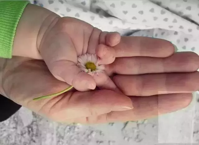 中國式父母的悲哀:「父母皆禍害」