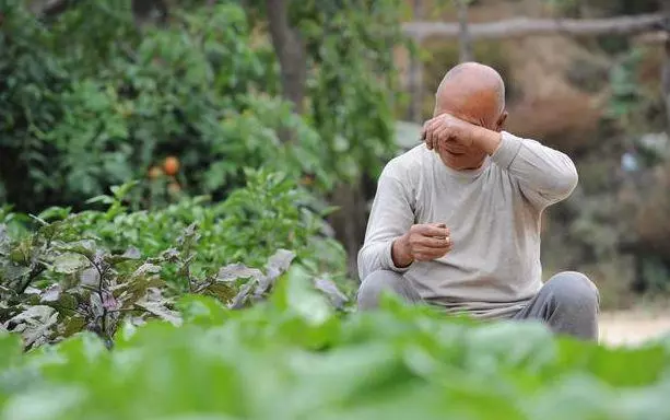 兒子三年未歸,女婿一直照顧老人,把家產全給女婿,收到信他哭了