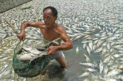 鄉下老父送來一袋魚乾,兒子嫌難吃放冰箱,半年後打開袋子我哭了